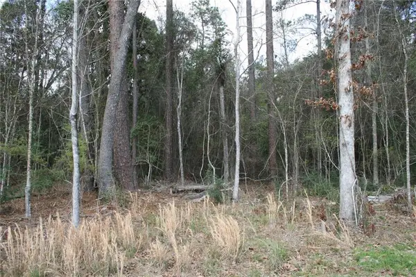 21149 Little River Court, Covington, LA 70435