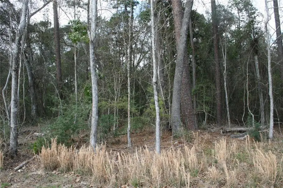 21149 Little River Court, Covington, LA 70435 - #2