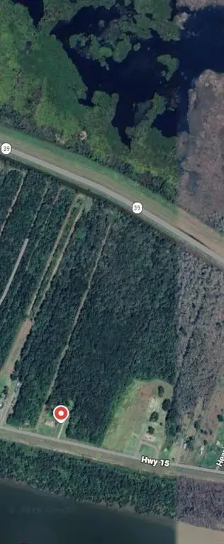 Highway 15 (parcel 1072850), Braithwaite, LA 70040 - #3