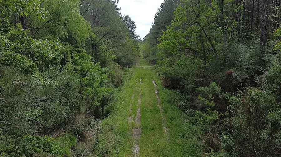135 Acres Belle Woods Drive, Holden, LA 70744 - #2