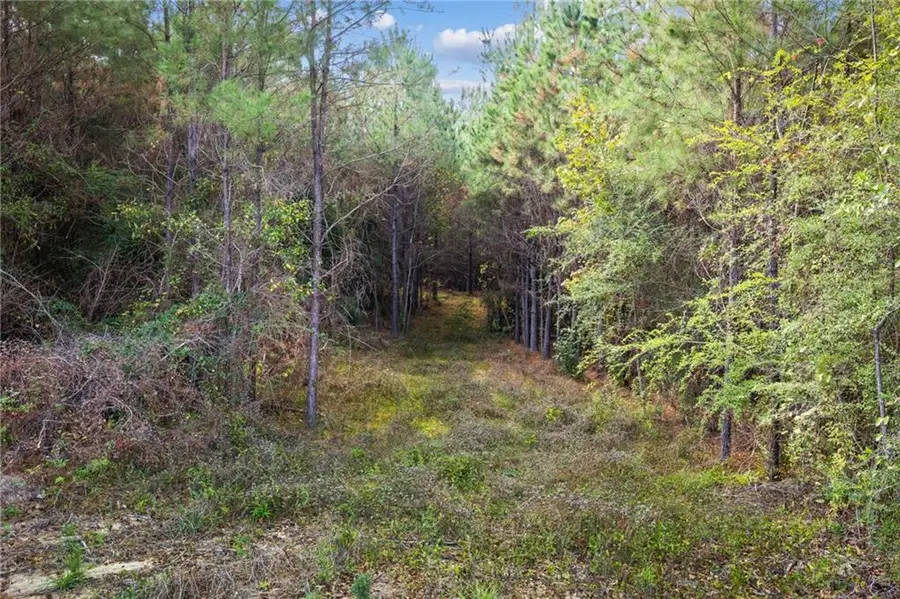 Highway 62 Lot 3, Franklinton, LA 70438 - #3
