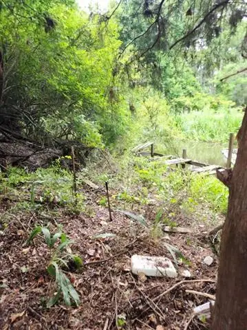 1.40 acres Vacant Land, Ponchatoula, LA 70454 - #3
