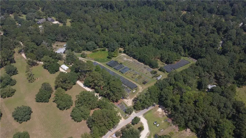 8.8 Acres Joseph's Road, Folsom, LA 70437 - #1