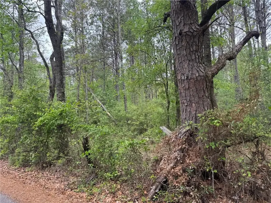 0 Pine Hollow Road, Covington, LA 70435 - #3