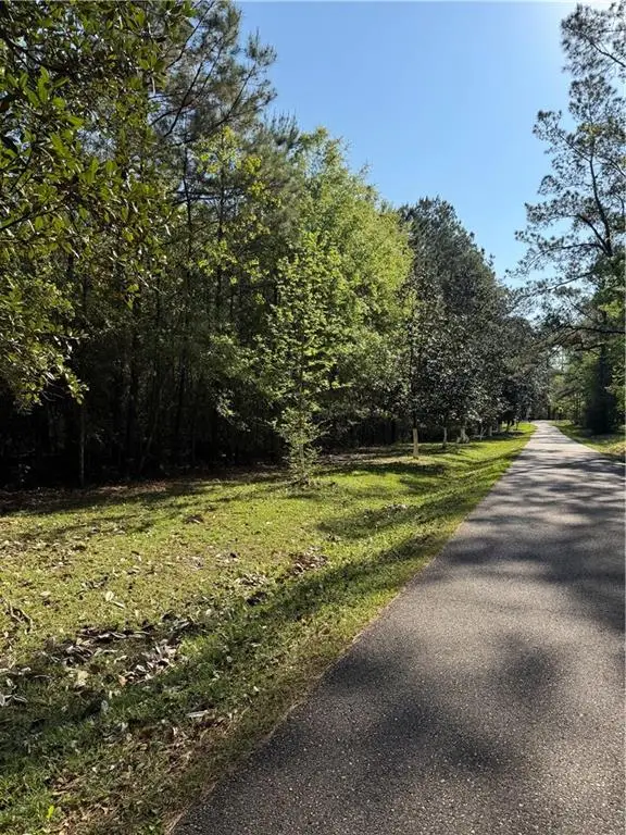 13261 Theresa Nave Road, Folsom, LA 70437 - #3