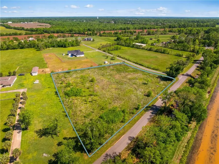 445 Downs Lane, Alexandria, LA 71303 - #3