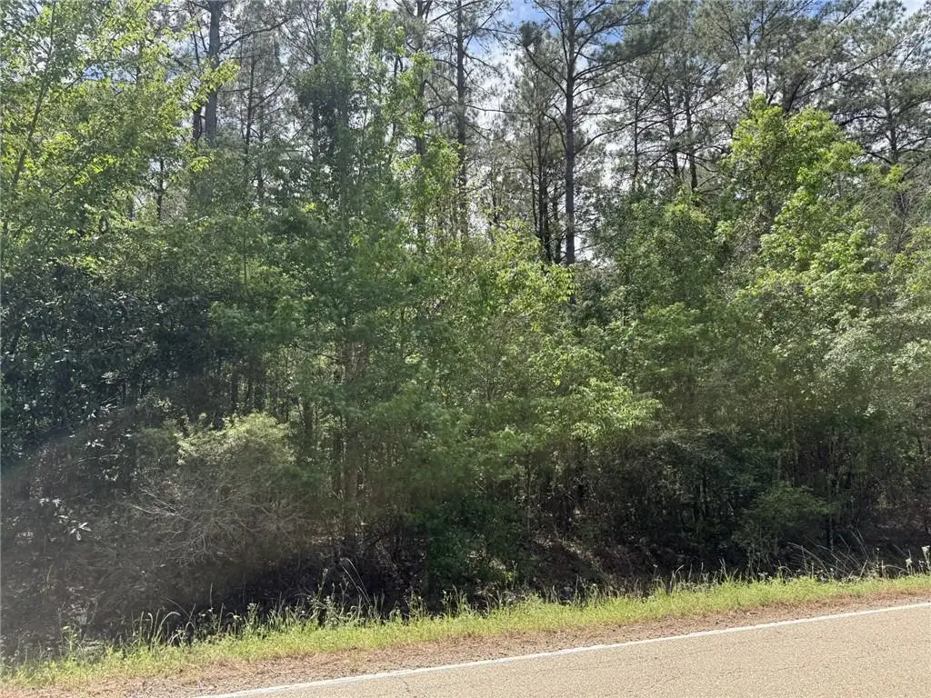 TBD Oakdale- Tract 2 Road, Oakdale, LA 71463 - #1