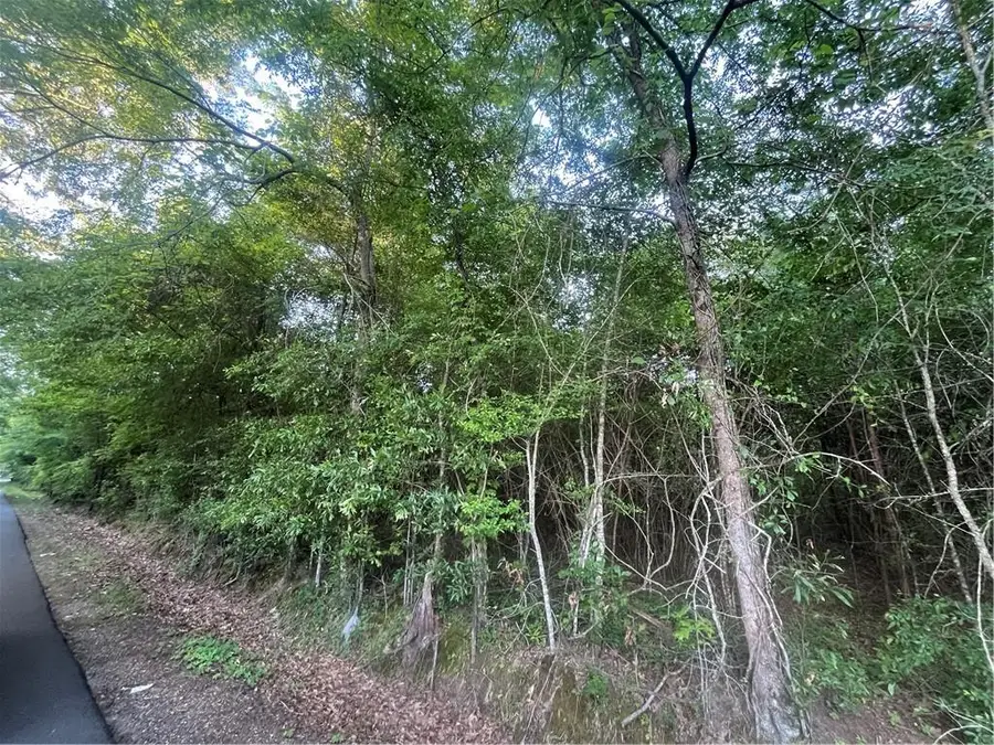 Faith Mission Baptist Road, Marksville, LA 71351 - #3