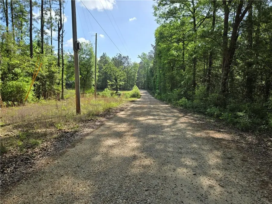 0 Arlena Lane, Poplarville, MS 39470 - #2
