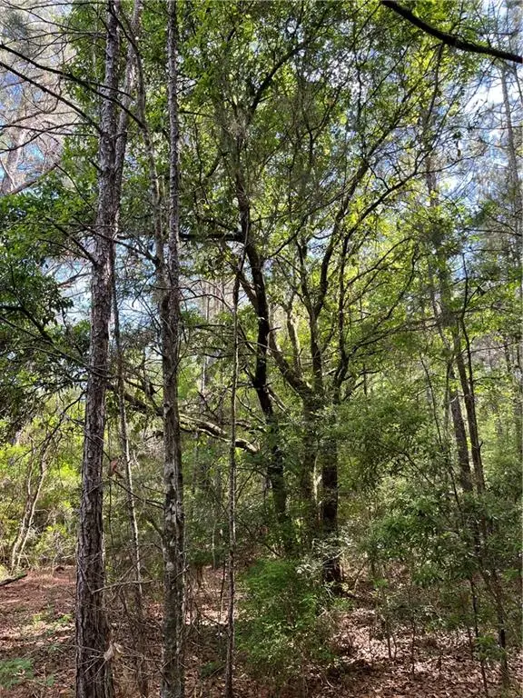 Bj Maurer Rd Road, Independence, LA 70443 - #3