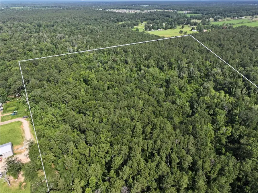 Ellis Blvd Boulevard, Loranger, LA 70446 - #3