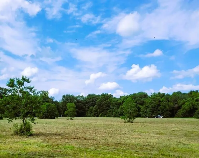 Ed Yates Road, Pearl River, LA 70452 - #1