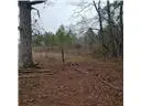 71939 1054 Highway, Kentwood, LA 70444 - #3