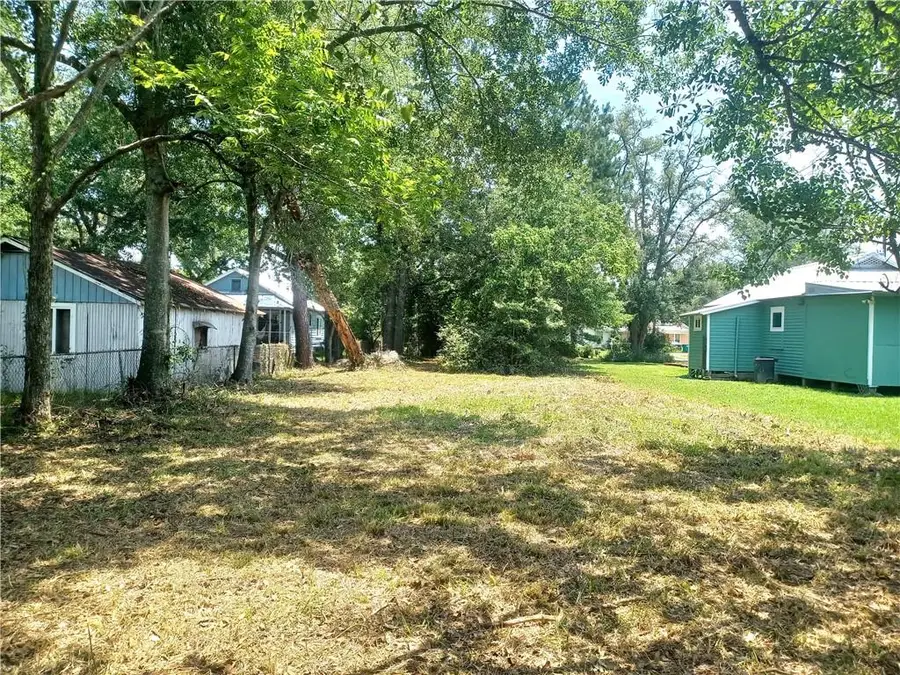 231 N Third Street, Ponchatoula, LA 70454 - #2