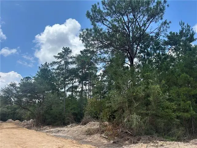 0 Pellegrin Drive, Covington, LA 70435 - #3
