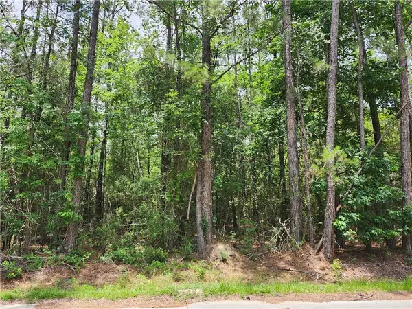 25584 W Chestnut Street, Lacombe, LA 70445