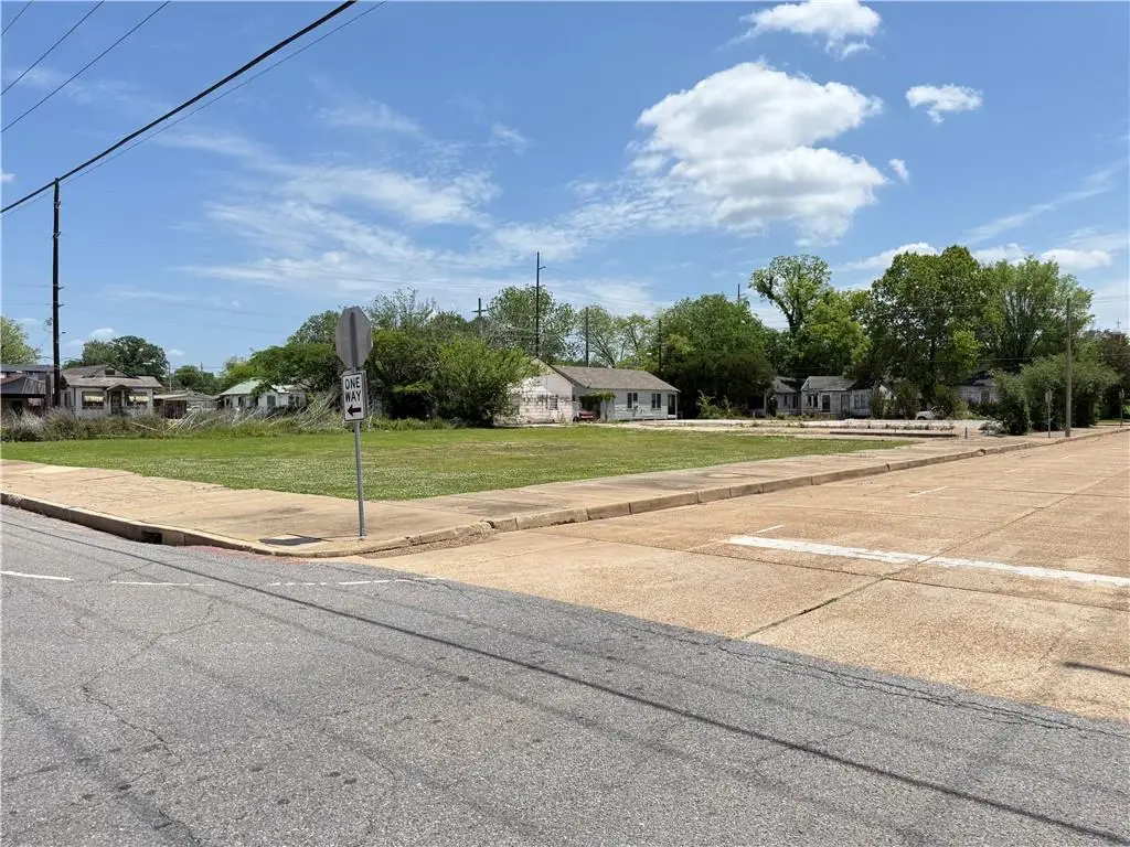 718 St. James Street, Alexandria, LA 71301 - #1