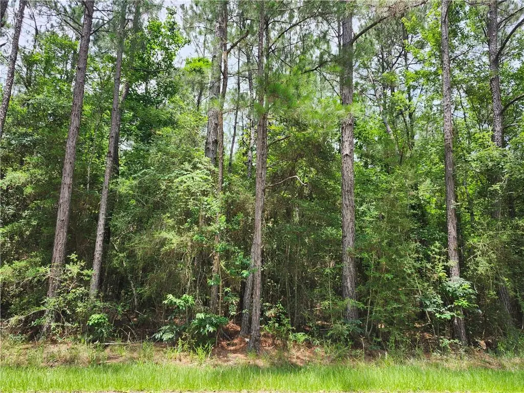 001 Labarre Street, Mandeville, LA 70448 - #1