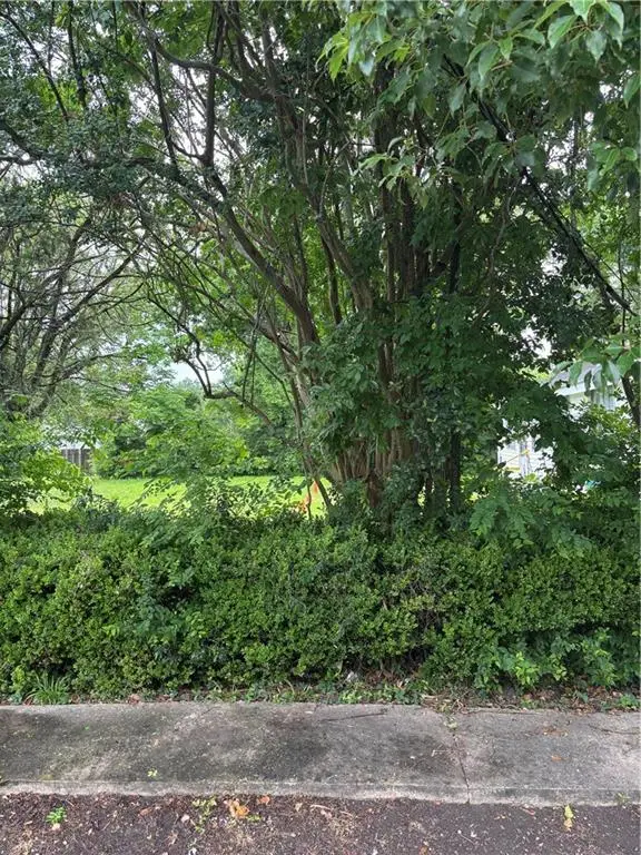 1336 Numa Street, New Orleans, LA 70114 - #3