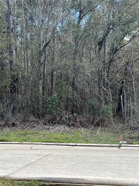 131/133 Robin Hood Drive, Hammond, LA 70403 - #3