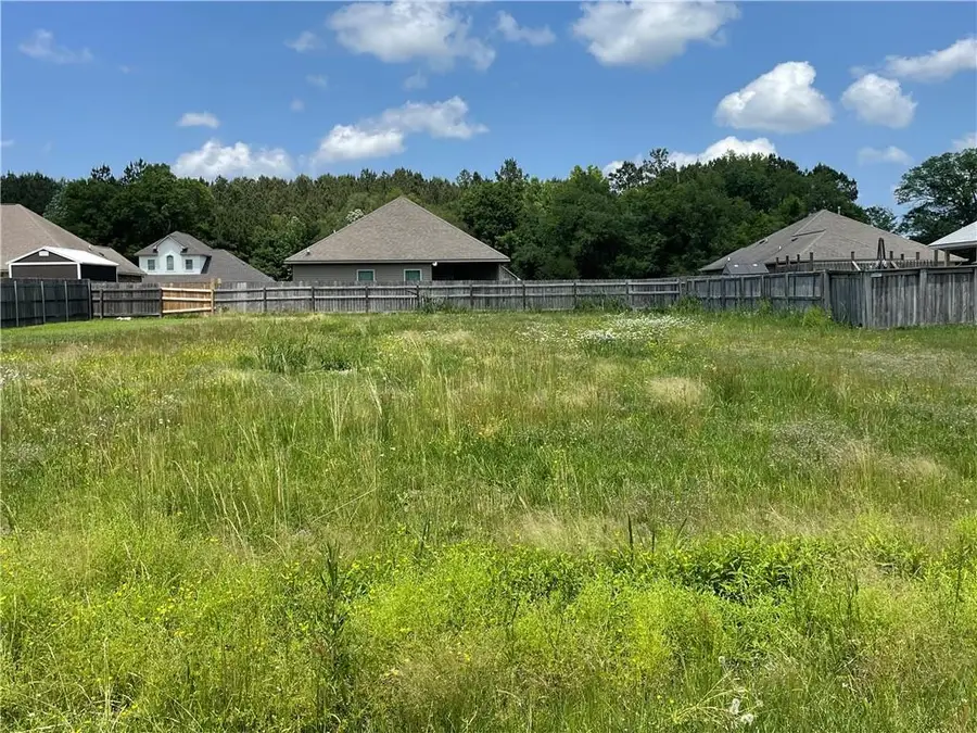 21346 Beau Chateau Boulevard, Ponchatoula, LA 70454 - #2