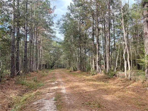37285 Dummyline Road, Pearl River, LA 70452