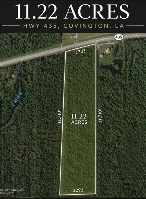 25332 Hwy 435 Highway, Abita Springs, LA 70420 - #1