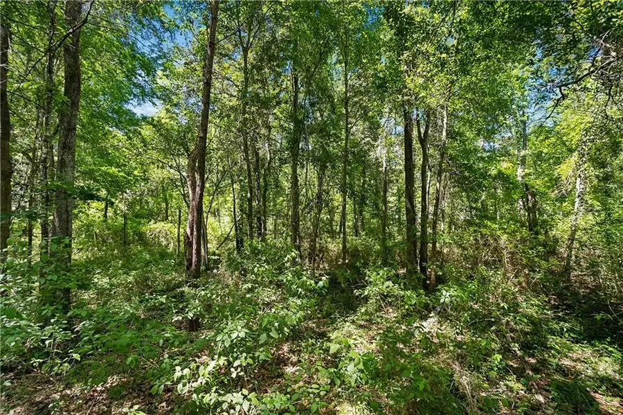 0 Live Oak Street, Mandeville, LA 70448 - #3