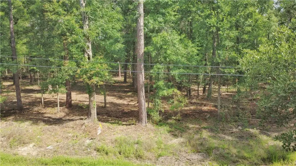 Lot 1a-2 Strawberry Lane, Hammond, LA 70403 - #1