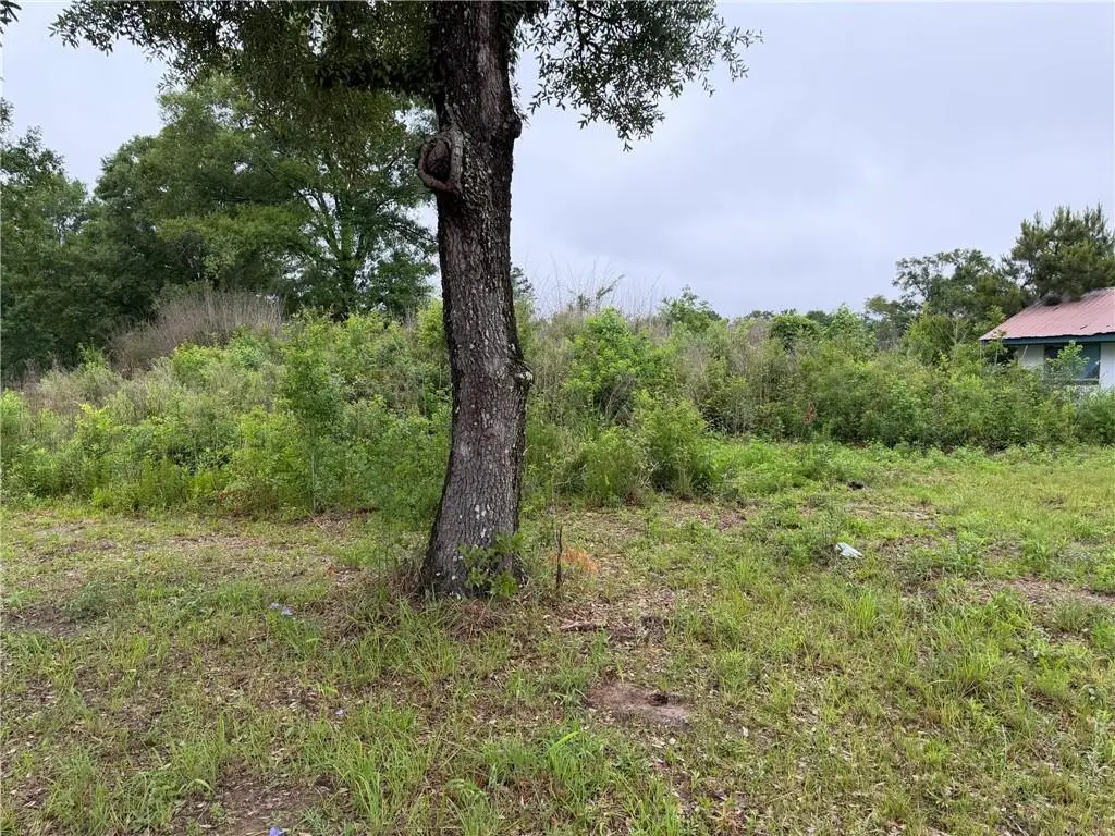10315 Old Baton Rouge Highway, Hammond, LA 70403 - #1