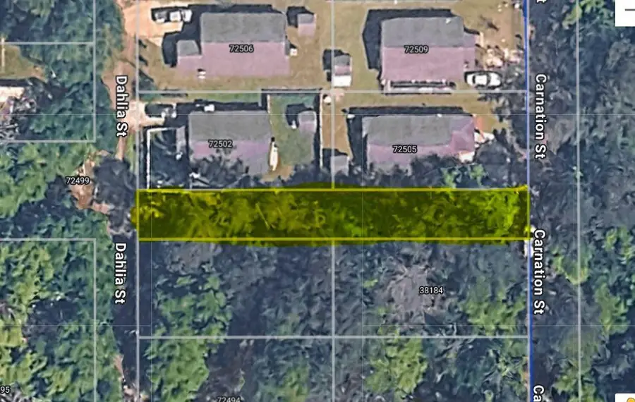 Dahlia Street, Covington, LA 70435 - #3