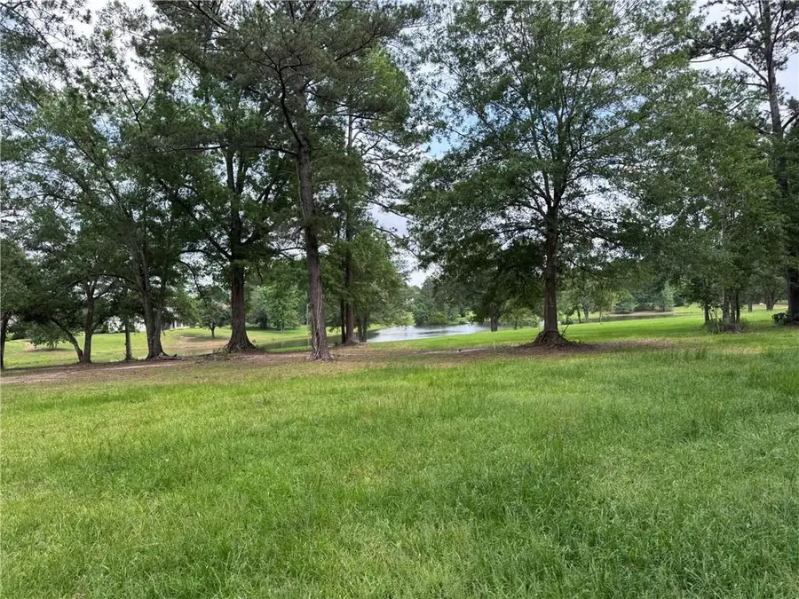 Lot 451 Chinawood Drive, Abita Springs, LA 70420 - #3