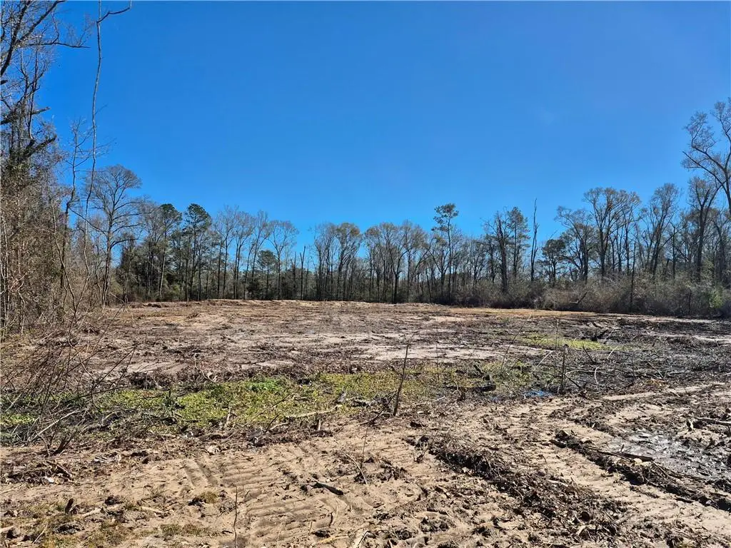 Stafford Road, Tickfaw, LA 70466 - #1