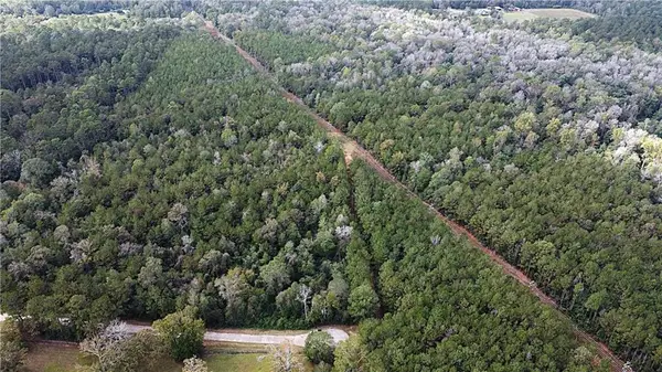 49 Acres Holliday Road, Folsom, LA 70437