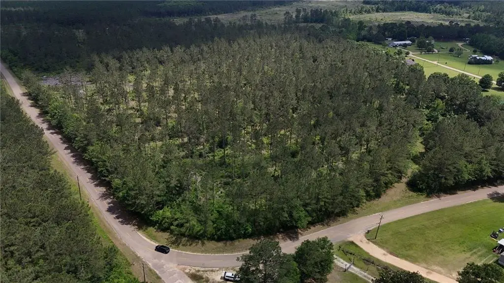 TBD Lee Road Road, Franklinton, LA 70438 - #1