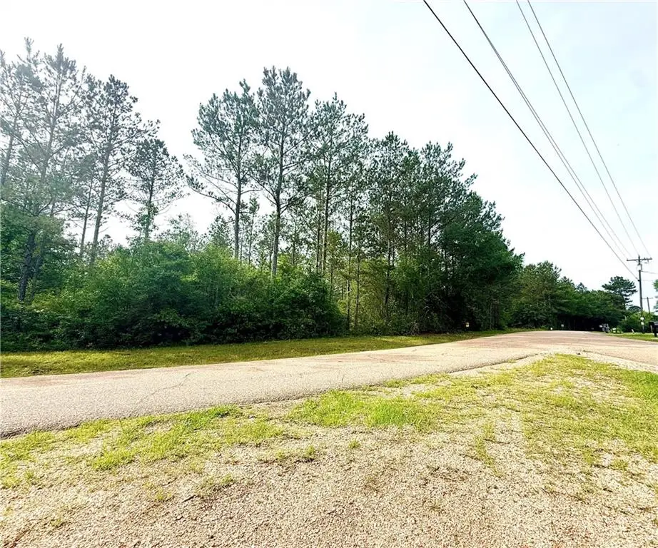 Lot2 TBD Lee Road, Franklinton, LA 70438 - #1