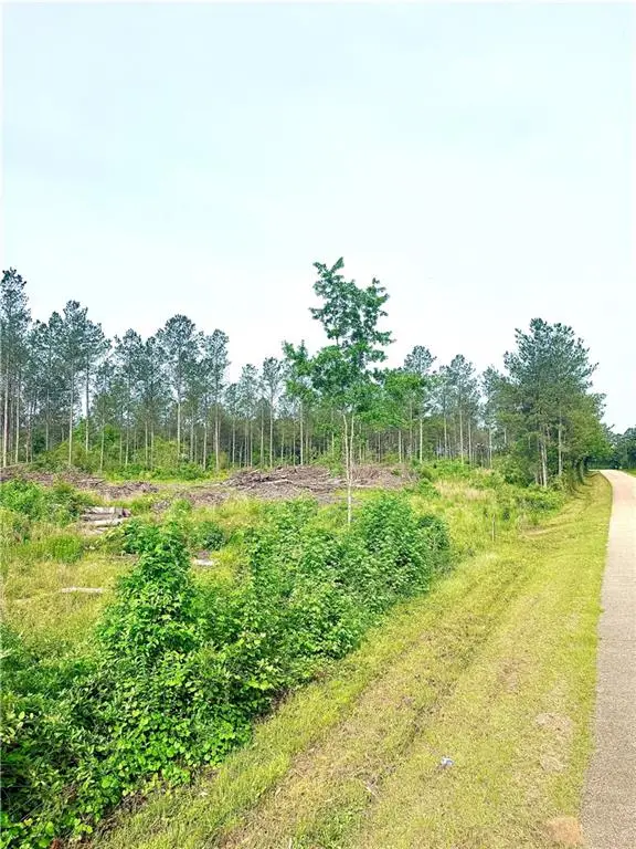 Lot4 TBD Lee Road, Franklinton, LA 70438 - #1