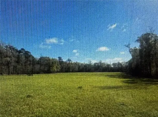 28445 Harper Hill Drive, Independence, LA 70443