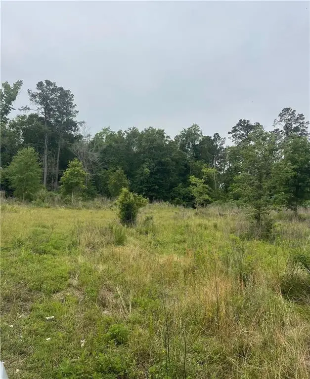 121 Ten Mile Road, Pitkin, LA 70656 - #1