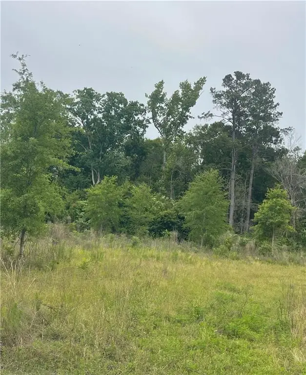 121 Ten Mile Road, Pitkin, LA 70656 - #2