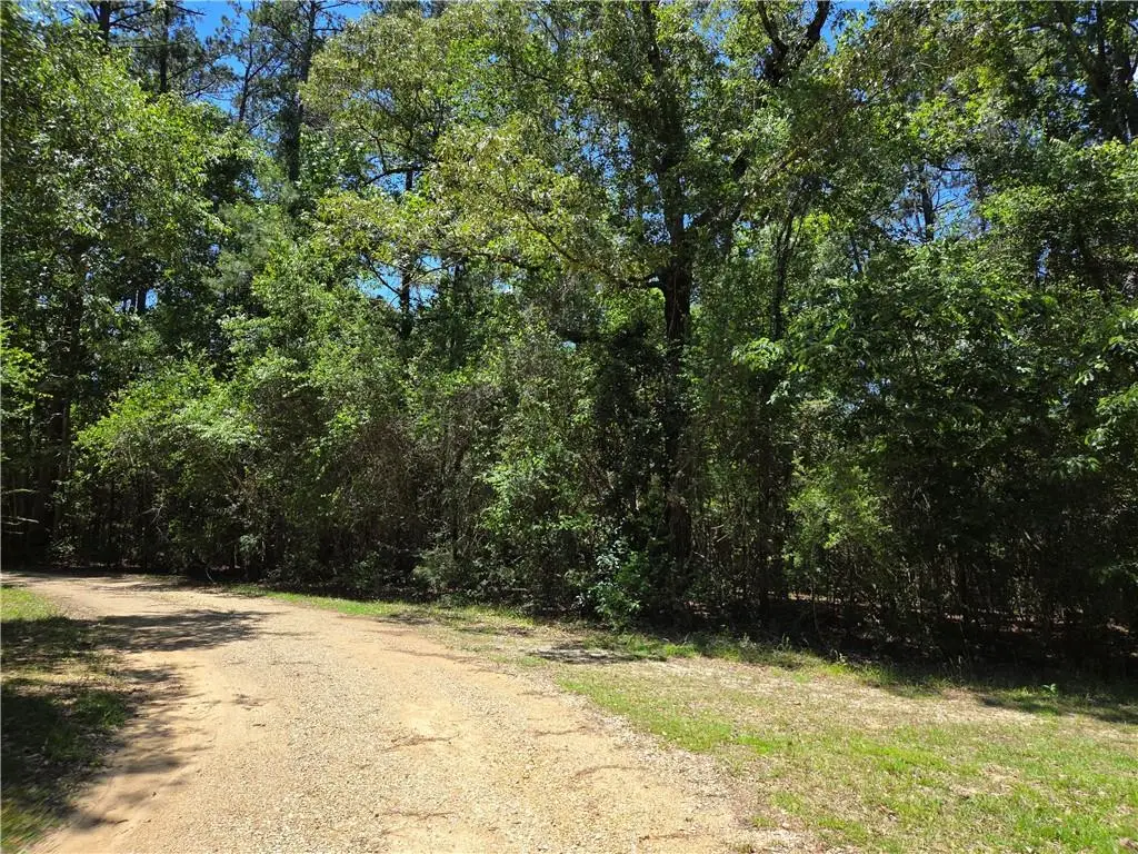Exnicios Drive, Folsom, LA 70437 - #1