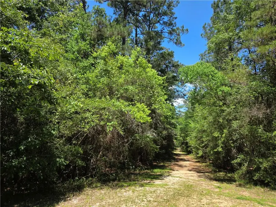 Exnicios Drive, Folsom, LA 70437 - #2