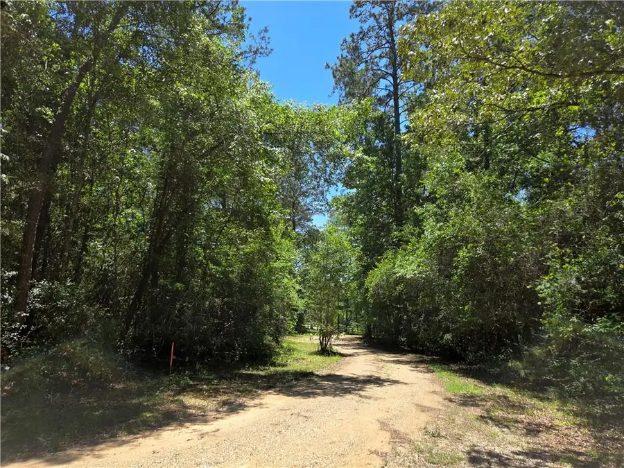 Exnicios Drive, Folsom, LA 70437 - #3