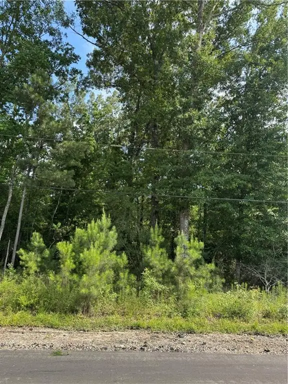Tract 1-D Lower Rome Road, Springfield, LA 70462 - #2