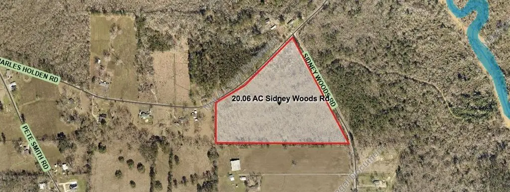 20.06 AC Sidney Woods Road, Holden, LA 70744 - #1