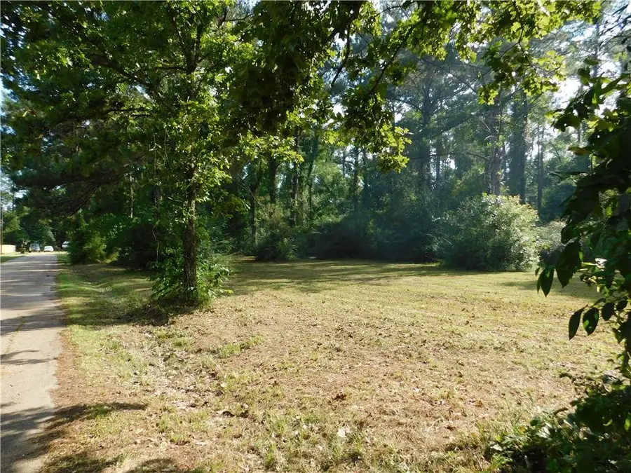 29000 Craig Drive, Albany, LA 70711 - #2