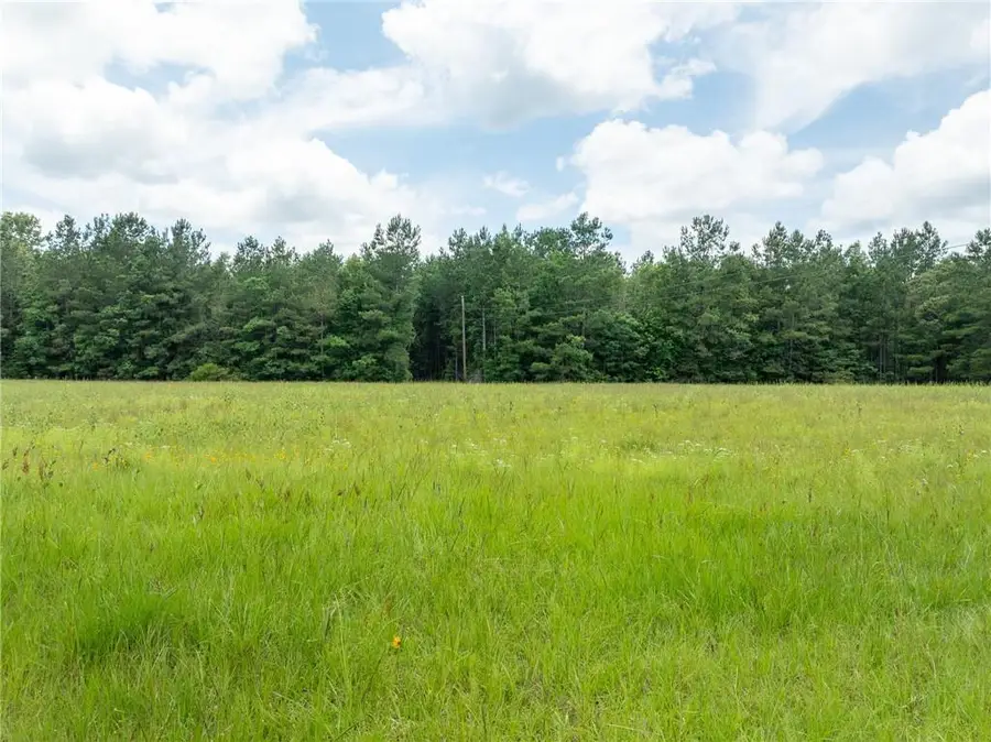 81 Agate Road, Glenmora, LA 71433 - #3
