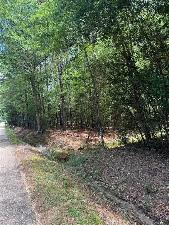 TBD Lavinghouse Road, Bush, LA 70431 - #2