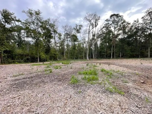 39092 Keaghey Road, Ponchatoula, LA 70454 - #3