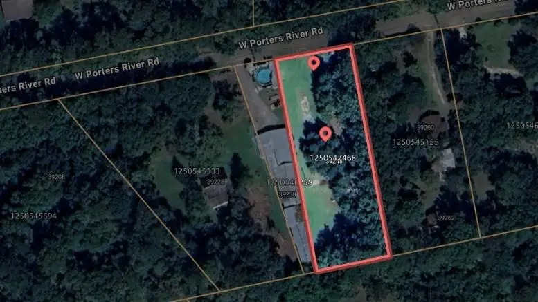 39248 W Porter River Road, Pearl River, LA 70452 - #1